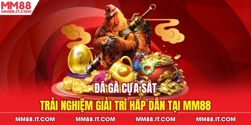 Đá gà cựa sắt mm88